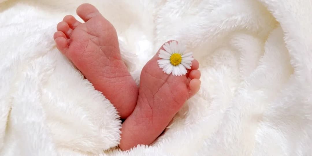 Czy dzieci z in vitro mają duszę? Etyka i wiara w kontrowersyjnej debacie