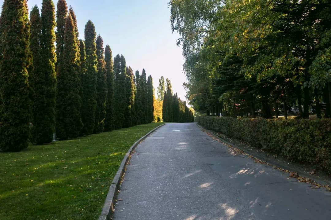 Jak dojechać na cmentarz Łostowicki w Gdańsku bez stresu i korków