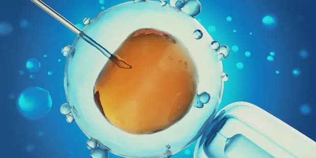 Czy in vitro to grzech? Poznaj kontrowersje i naukę Kościoła