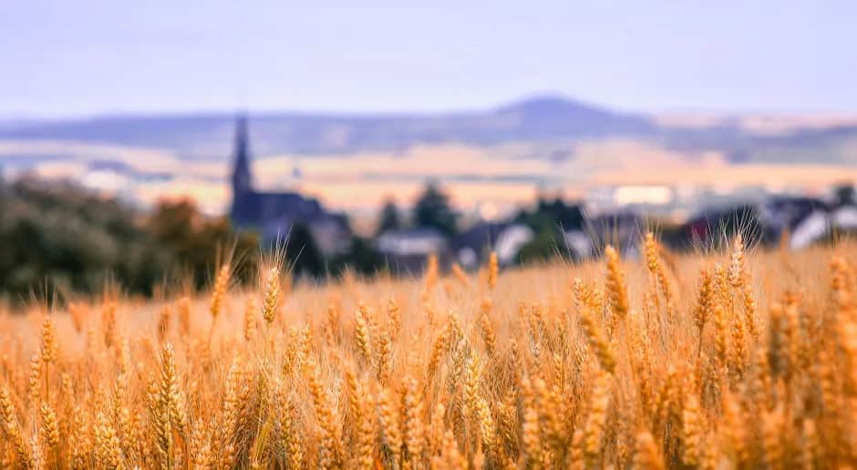Ile ziemi posiada Kościół w Polsce? Zaskakujące dane i fakty o majątku kościelnym